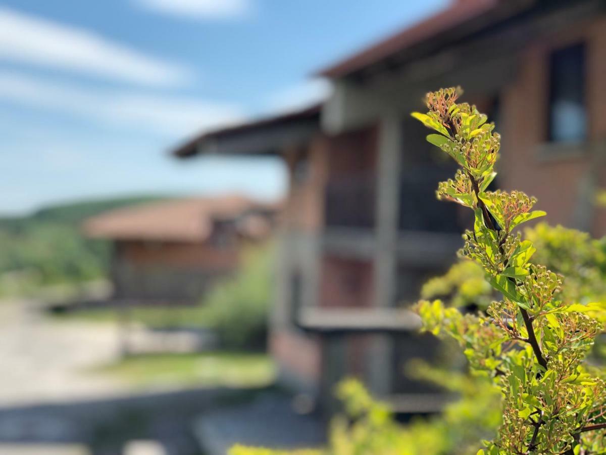 Hotel Pietrapanna Calvello 外观 照片